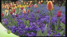 Italia giardino d'Europa