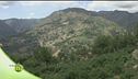 Tesori d'Aspromonte