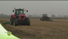 La coltivazione del riso