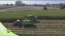 Lo stabilimento della lavorazione della carne