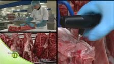 Lo stabilimento della lavorazione della carne