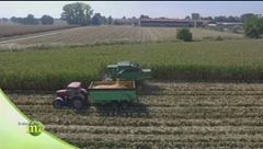 Lo stabilimento della lavorazione della carne