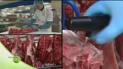 Lo stabilimento della lavorazione della carne