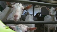 Lavorare in famiglia