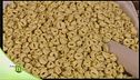 La pasta ripiena