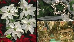 Puntata del 24 dicembre