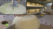 La produzione di formaggi