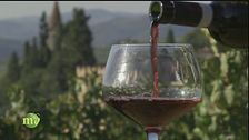I vigneti di Soave