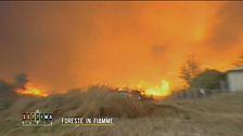 Foreste in fiamme