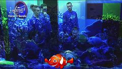 Amici - Verso il Serale - Venerdì 24 marzo