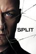 Trailer - Split