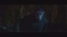 Trailer - The war - il pianeta delle scimmie
