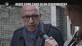 NINA: Usate come cavie di un esperimento?