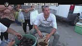 PASCA: Extinction business
