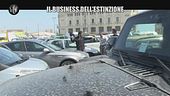 PASCA: Il business dell'estinzione