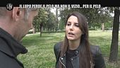 AGRESTI: Il lupo perde il pelo ma non il vizio… per il pelo