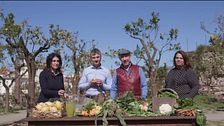 Sorrento: i prodotti della terra