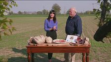 Il culatello di Zibello Dop della "Bassa"