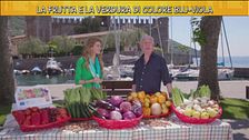 La frutta e la verdura di colore blù-viola
