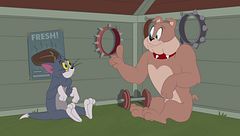 La vaschetta per volatili