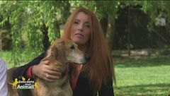 Puntata del 13 maggio