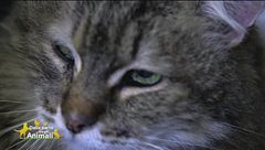 La dolce micetta Paprika