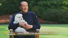 L'amico famoso