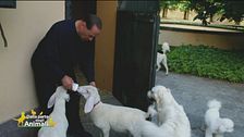 Una famiglia per tutti