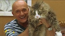 Teo, il migliore amico di Alfonso Signorini