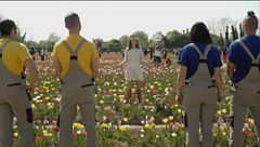 Benvenuti a "Tulipani Italiani"