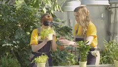 Un piccolo eden tra i palazzi di Milano