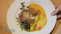 L'importanza delle proteine