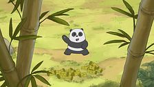 Panda due