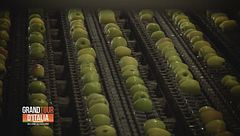 Un'eccellenza regina delle nostre tavole