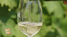 Il vermentino Doc dei Colli di Luni