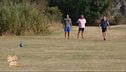Il footgolf