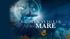 Le meraviglie del mare