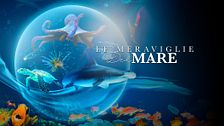 Le meraviglie del mare