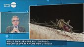 Allerta zanzare: rischi elevati anche per l'Italia