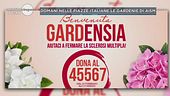 Le gardenie di AISM