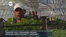 I lavori che non piacciono agli italiani