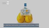 I limoni per la ricerca