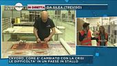 Treviso cerca operai