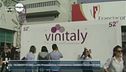 Vinitaly 2018, in mostra l'eccellenza