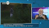 Macerata, supermarket della droga