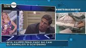GF15, Filippo e la frase choc sui cani
