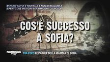 Sofia muore per malaria. Cos'è successo?