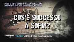 Sofia muore per malaria. Cos'è successo?