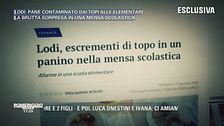 Escrementi di topo in mensa - News e interviste
