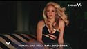 Shakira story